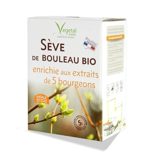 SEVE DE BOULEAU ENRICHIE AUX BOURGEONS - VEGETAL WATER