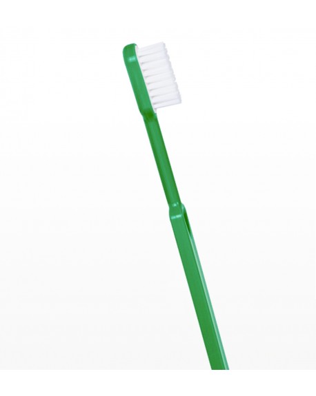 brosse à dents bioplastique verte Pachamamai